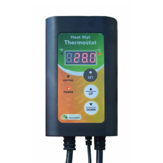 Digital Thermostat